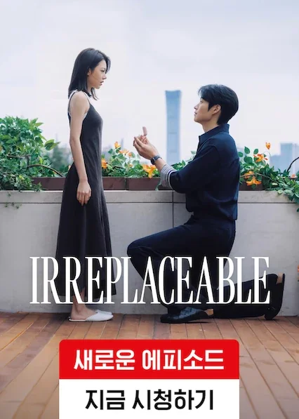 Irreplaceable poster