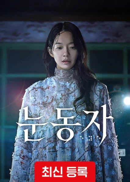 눈동자 포스터