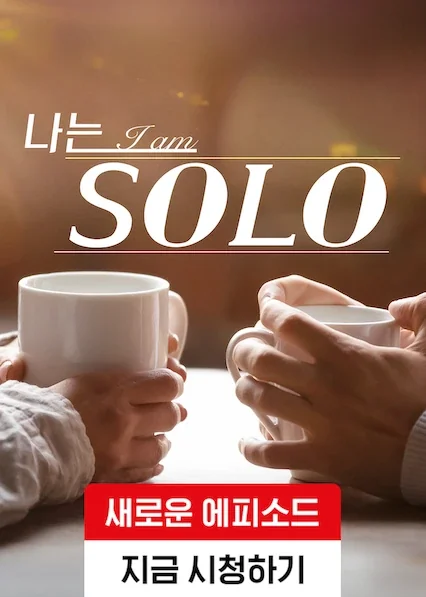 나는 솔로 포스터