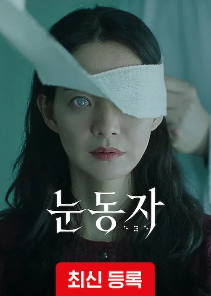 눈동자 포스터